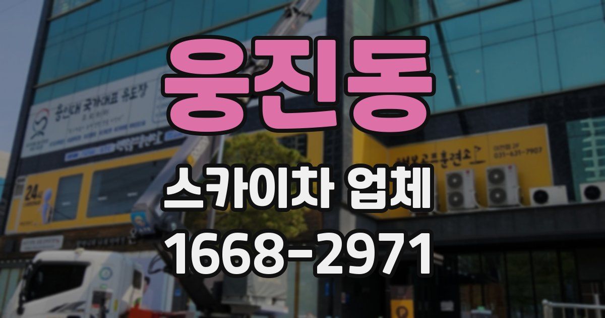 웅진동 스카이차 업체