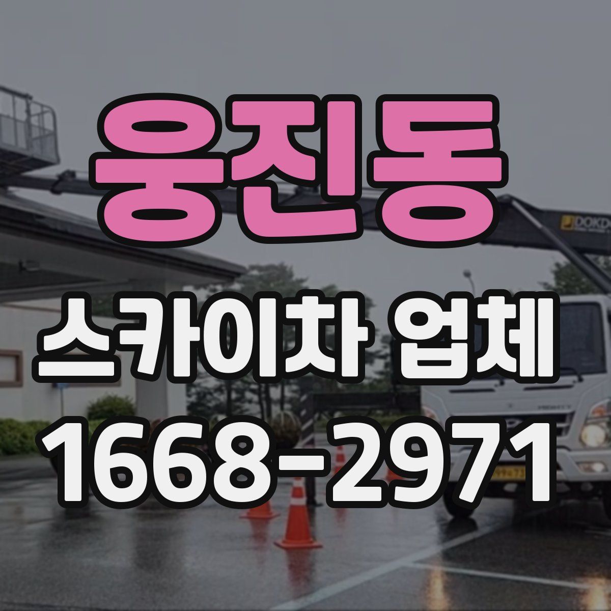 웅진동 스카이차 업체