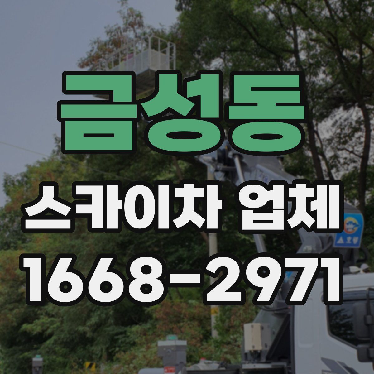 금성동 스카이차 업체