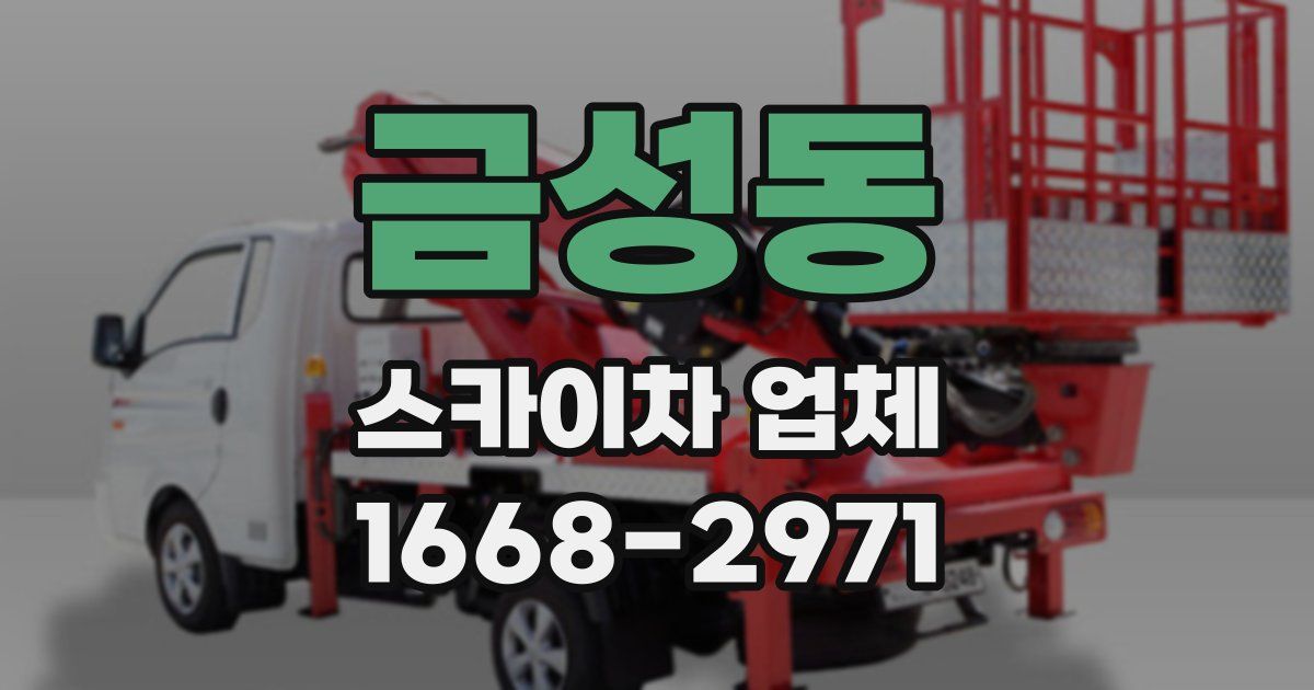 금성동 스카이차 업체