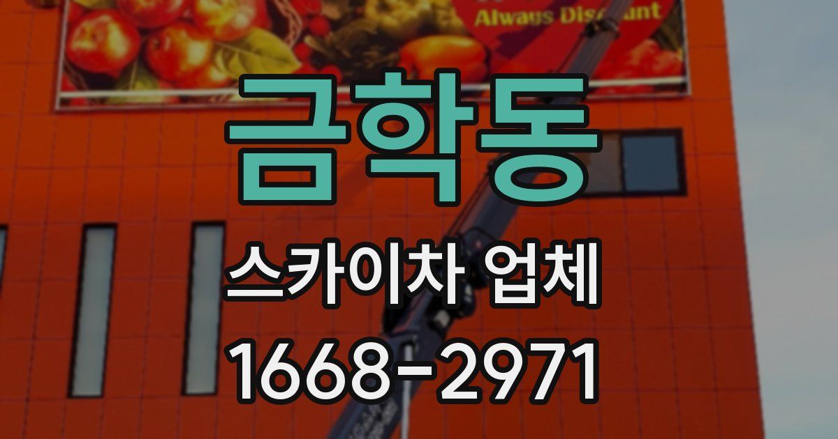 금학동 스카이차 업체