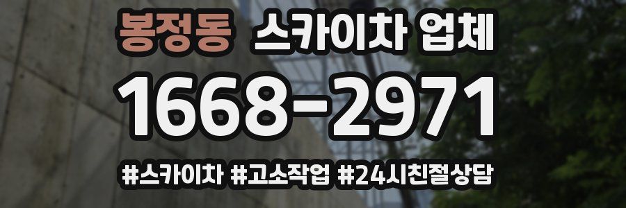 봉정동 스카이차 업체