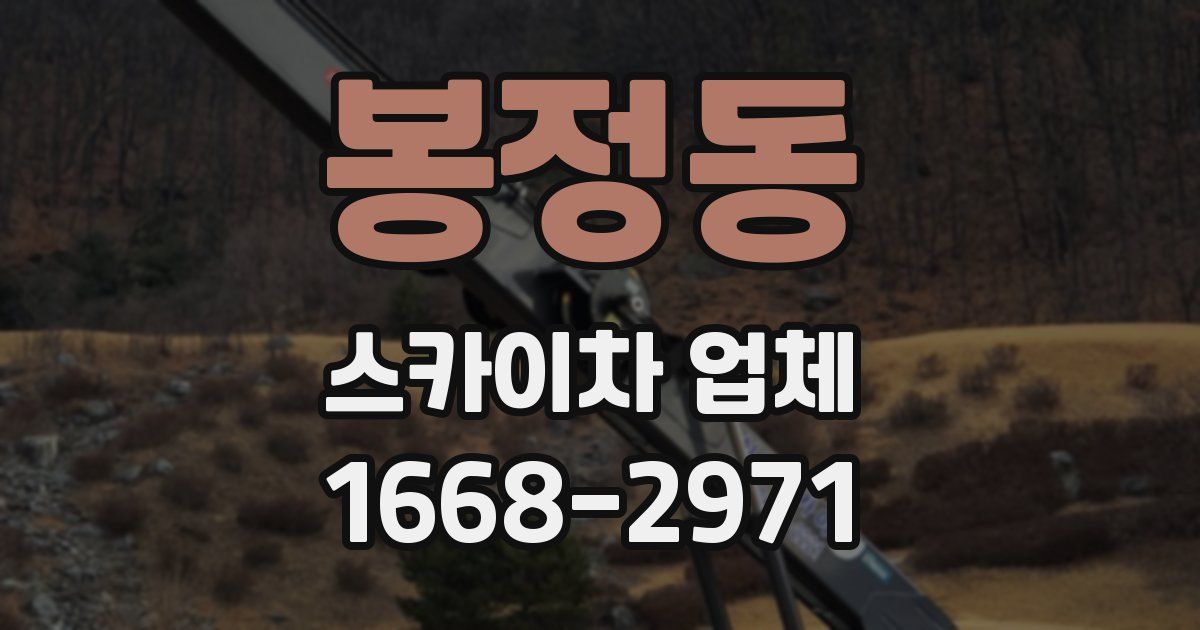 봉정동 스카이차 업체