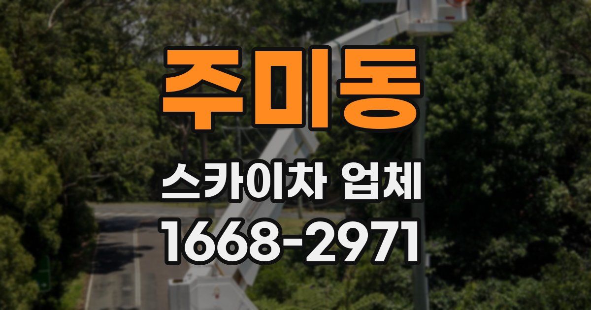 주미동 스카이차 업체