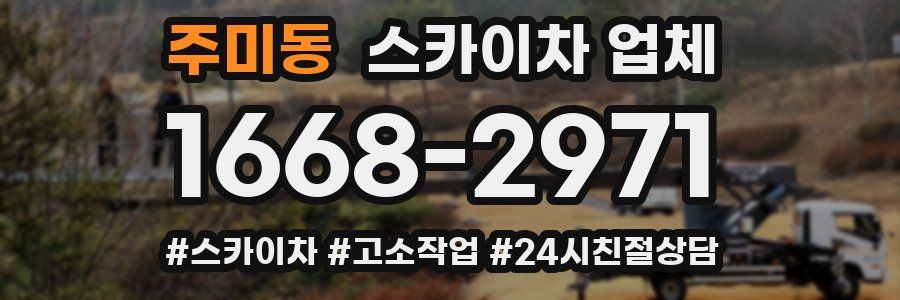주미동 스카이차 업체