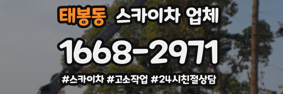 태봉동 스카이차 업체