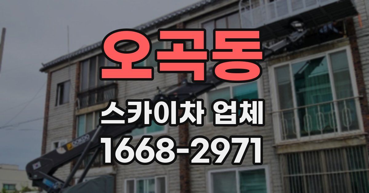 오곡동 스카이차 업체