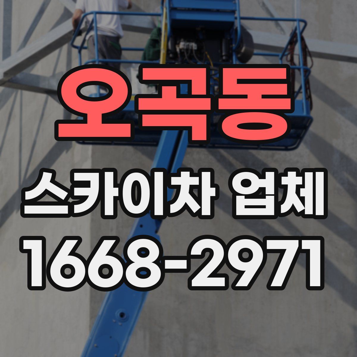 오곡동 스카이차 업체