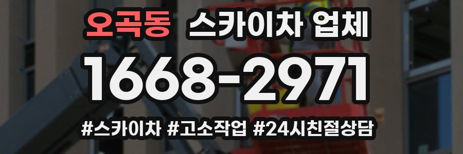 오곡동 스카이차 업체