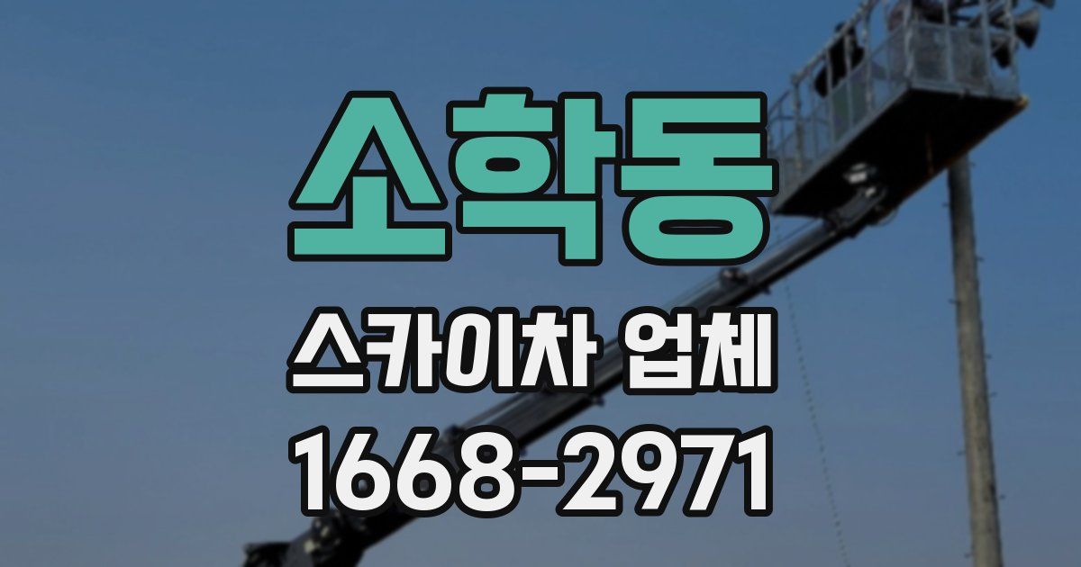 소학동 스카이차 업체