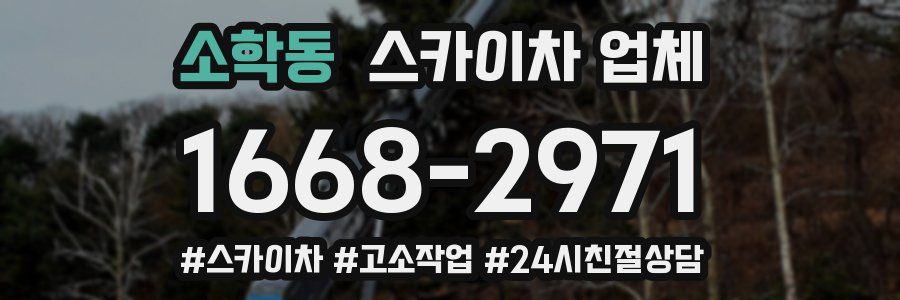 소학동 스카이차 업체