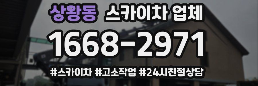 상왕동 스카이차 업체