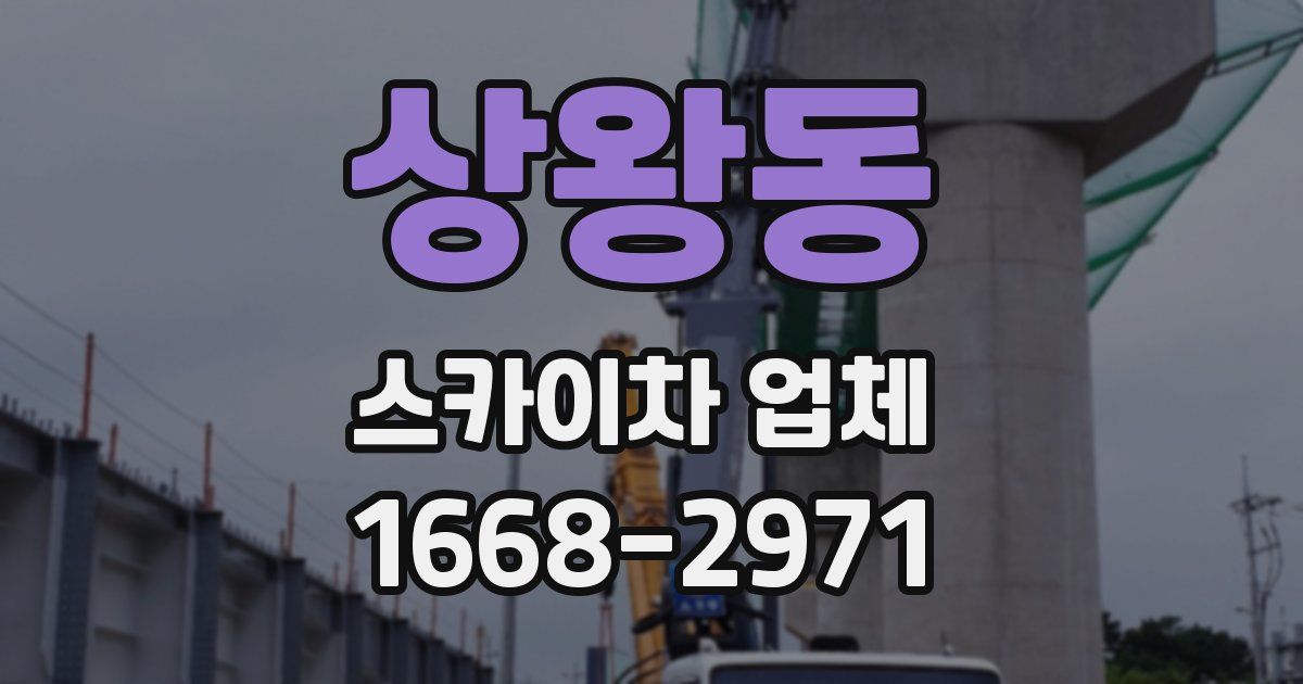 상왕동 스카이차 업체
