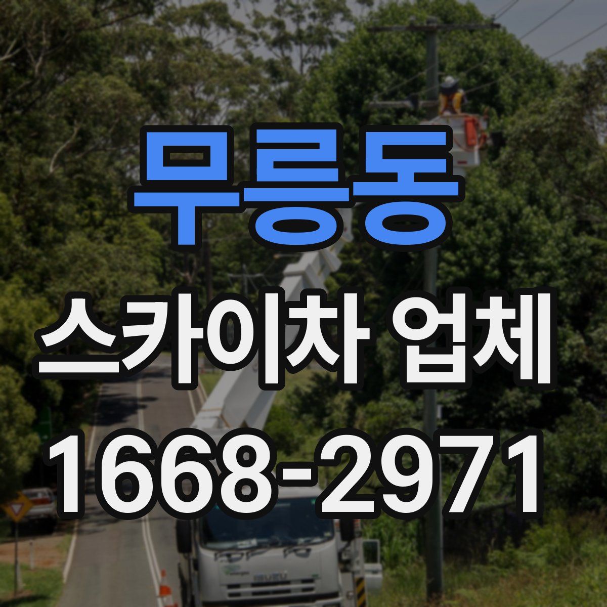 무릉동 스카이차 업체