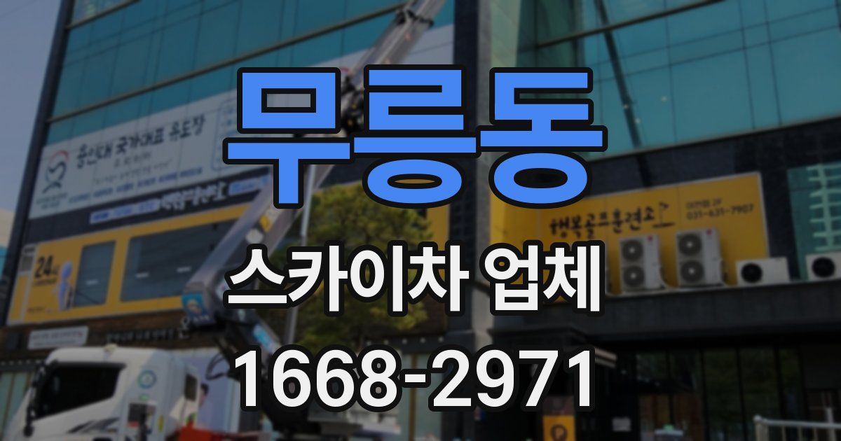 무릉동 스카이차 업체