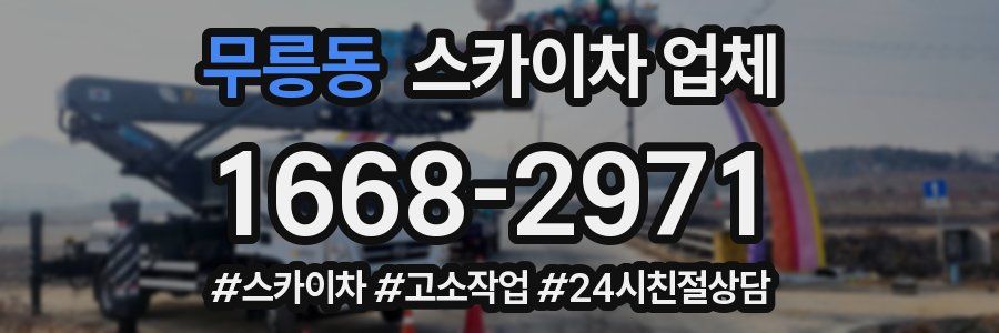 무릉동 스카이차 업체
