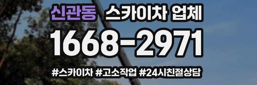 신관동 스카이차 업체