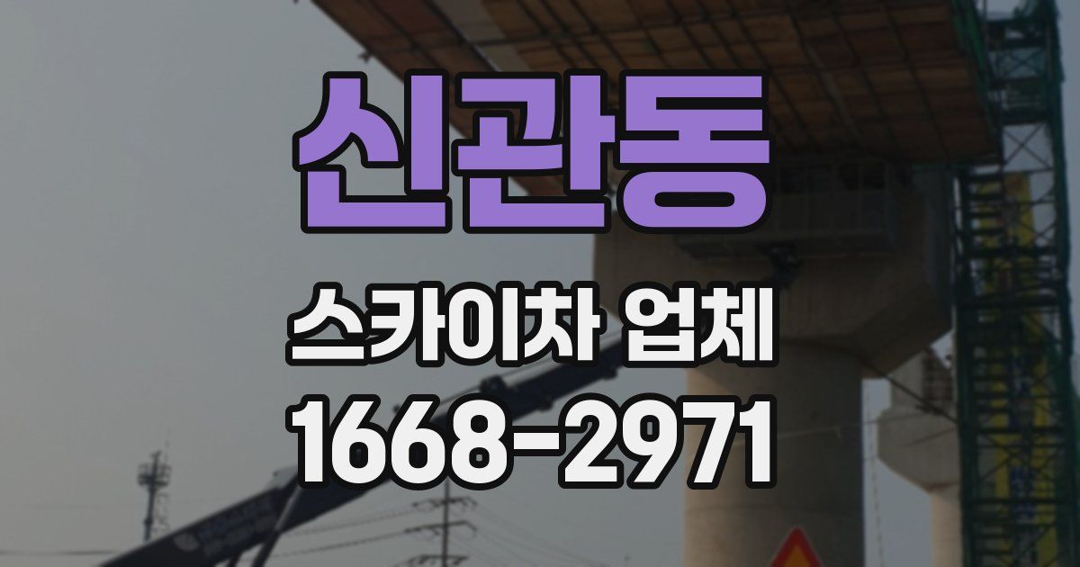 신관동 스카이차 업체