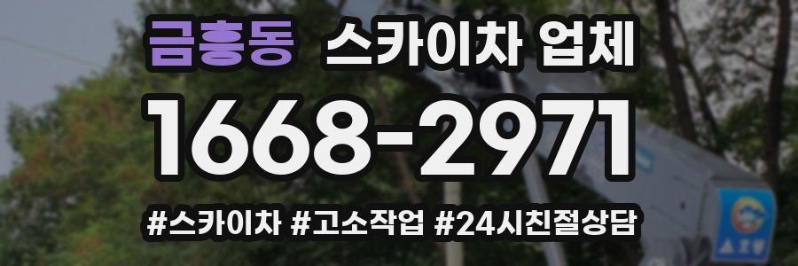 금흥동 스카이차 업체