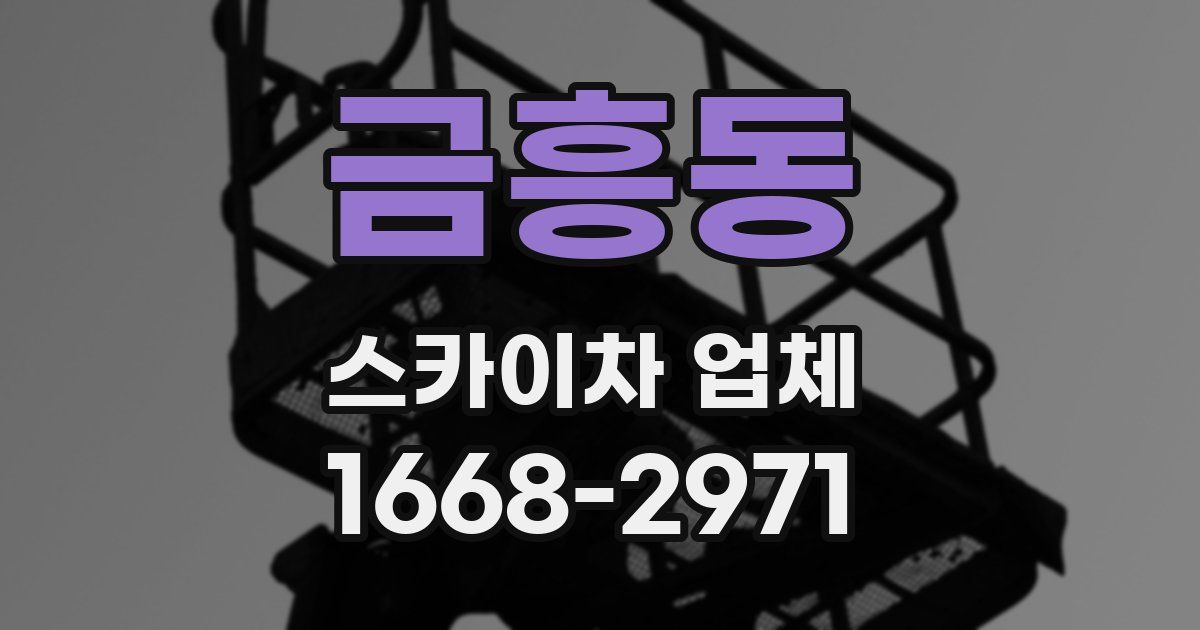 금흥동 스카이차 업체