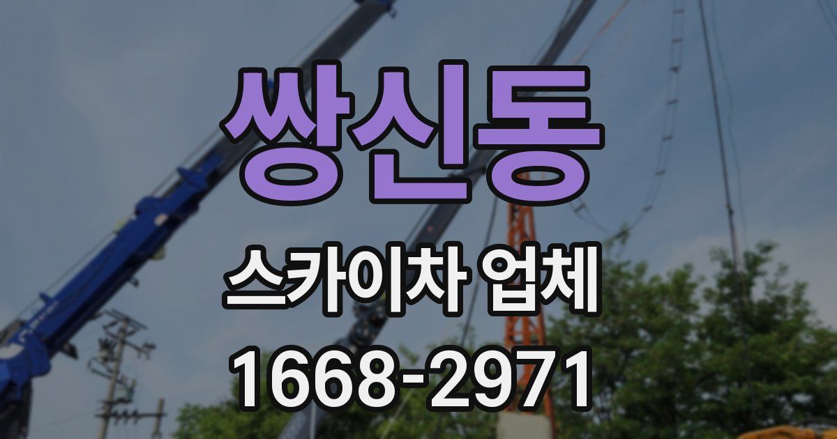 쌍신동 스카이차 업체
