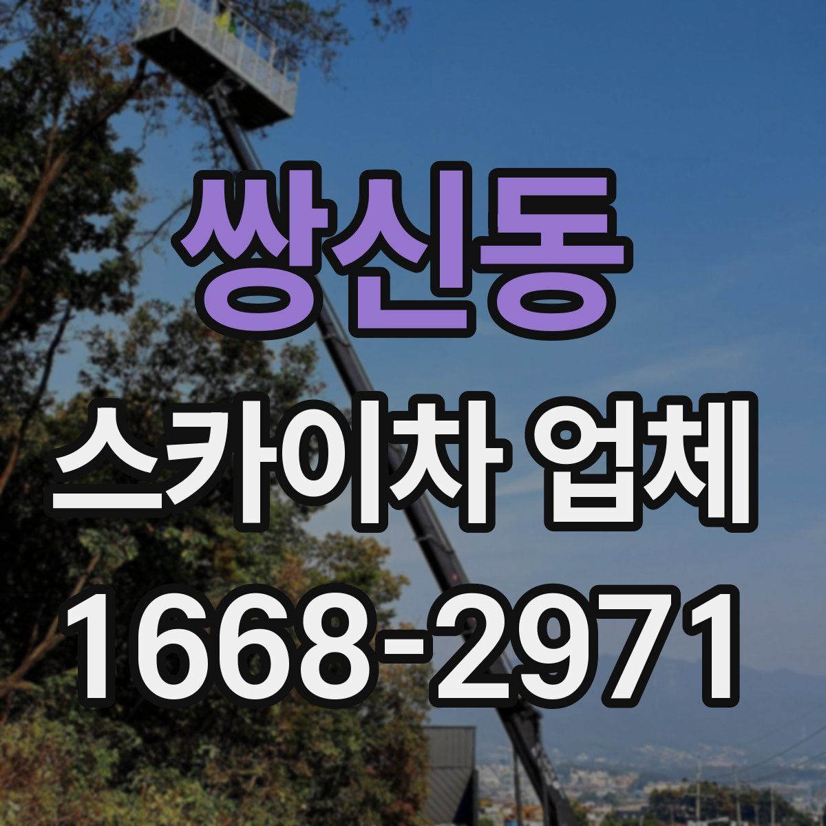 쌍신동 스카이차 업체