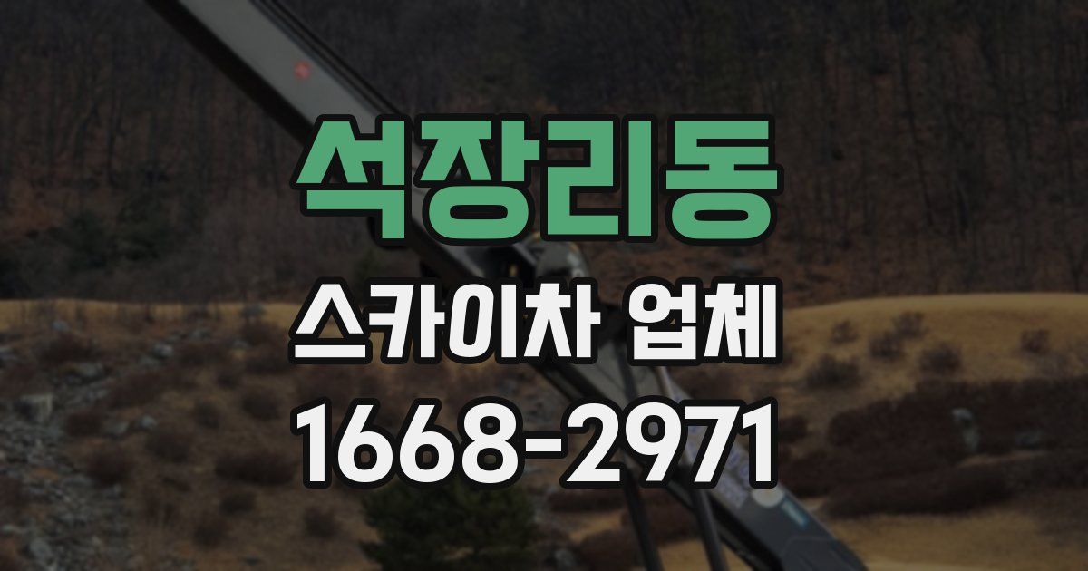 석장리동 스카이차 업체