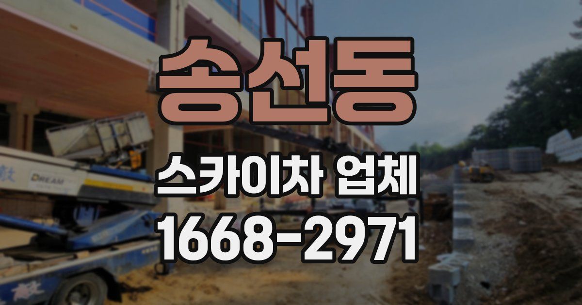 송선동 스카이차 업체