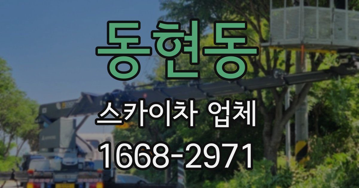 동현동 스카이차 업체