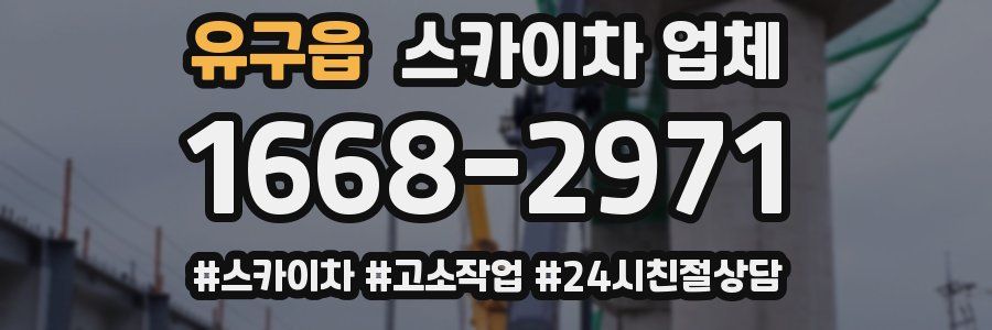 유구읍 스카이차 업체