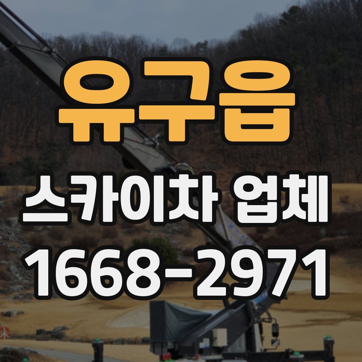 유구읍 스카이차 업체