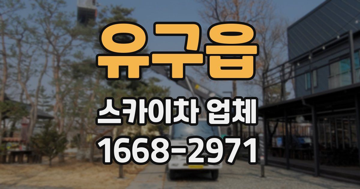 유구읍 스카이차 업체