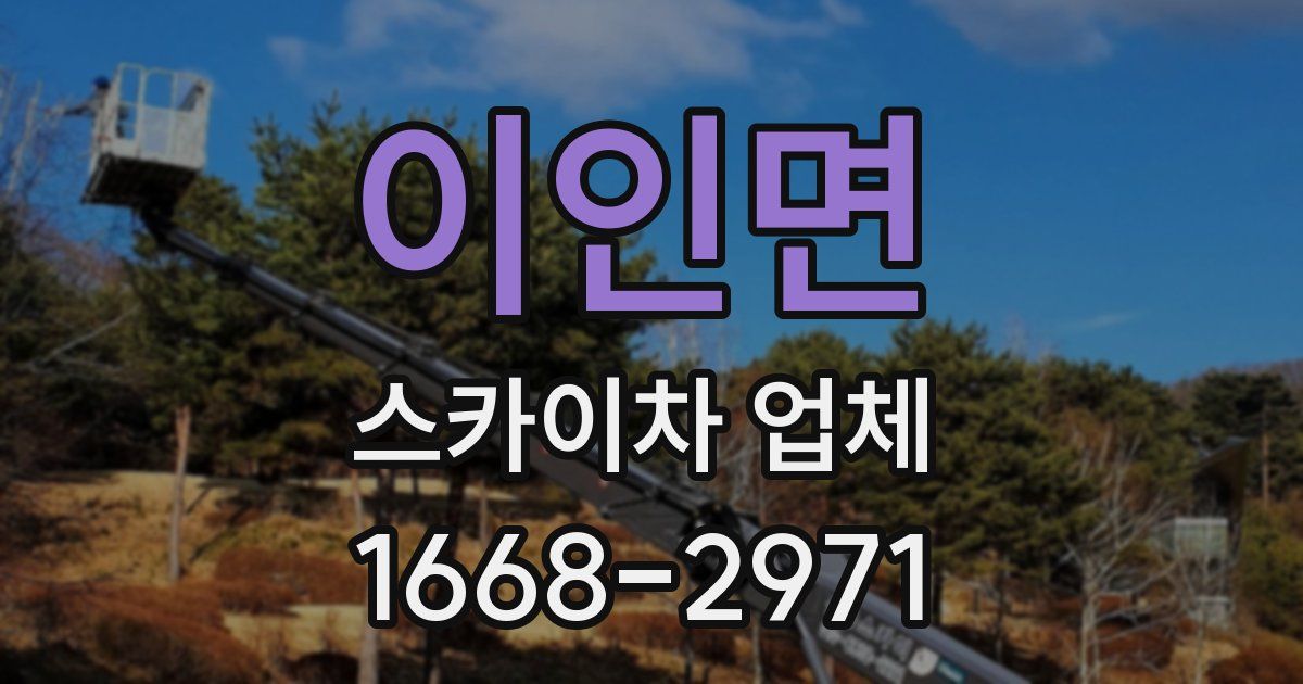 이인면 스카이차 업체
