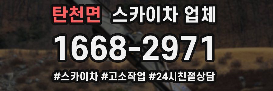 탄천면 스카이차 업체
