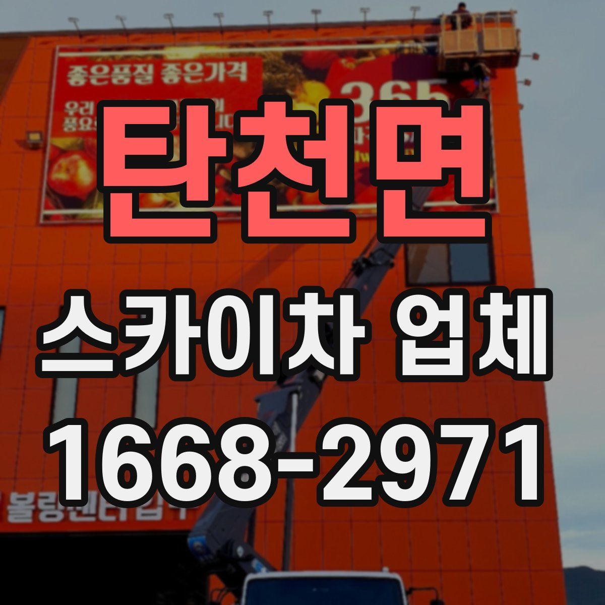 탄천면 스카이차 업체