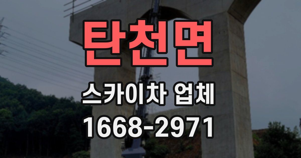 탄천면 스카이차 업체