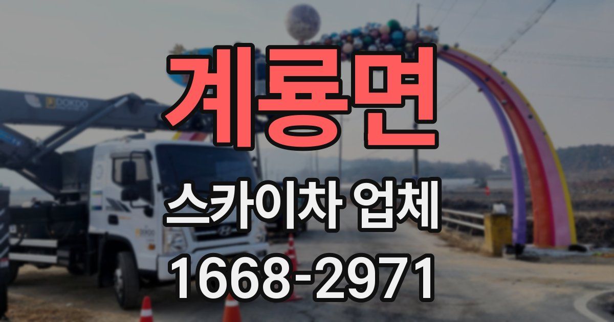 계룡면 스카이차 업체