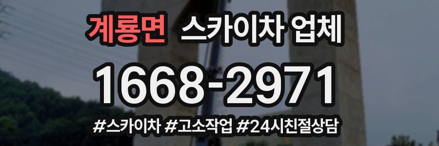 계룡면 스카이차 업체