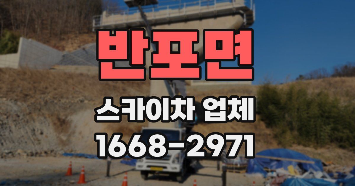 반포면 스카이차 업체