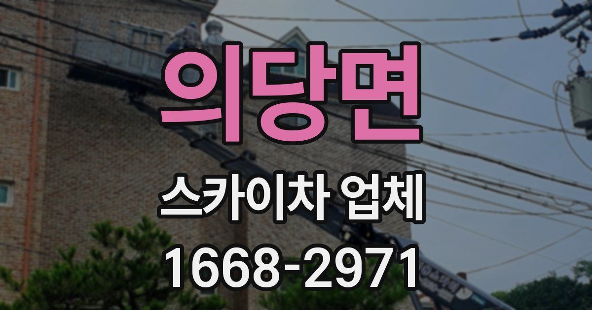 의당면 스카이차 업체