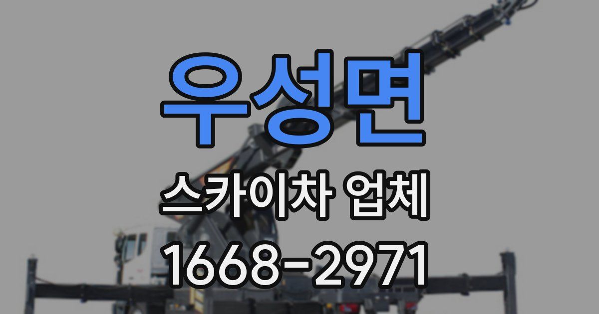 우성면 스카이차 업체