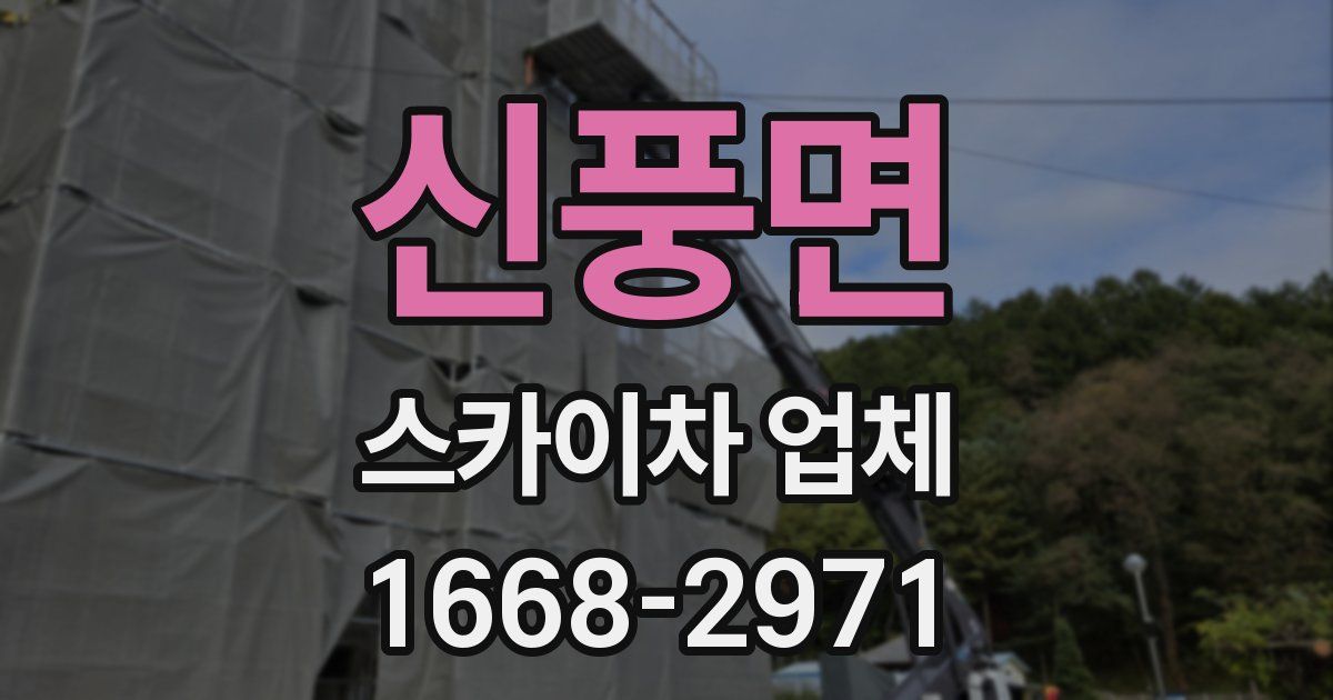 신풍면 스카이차 업체