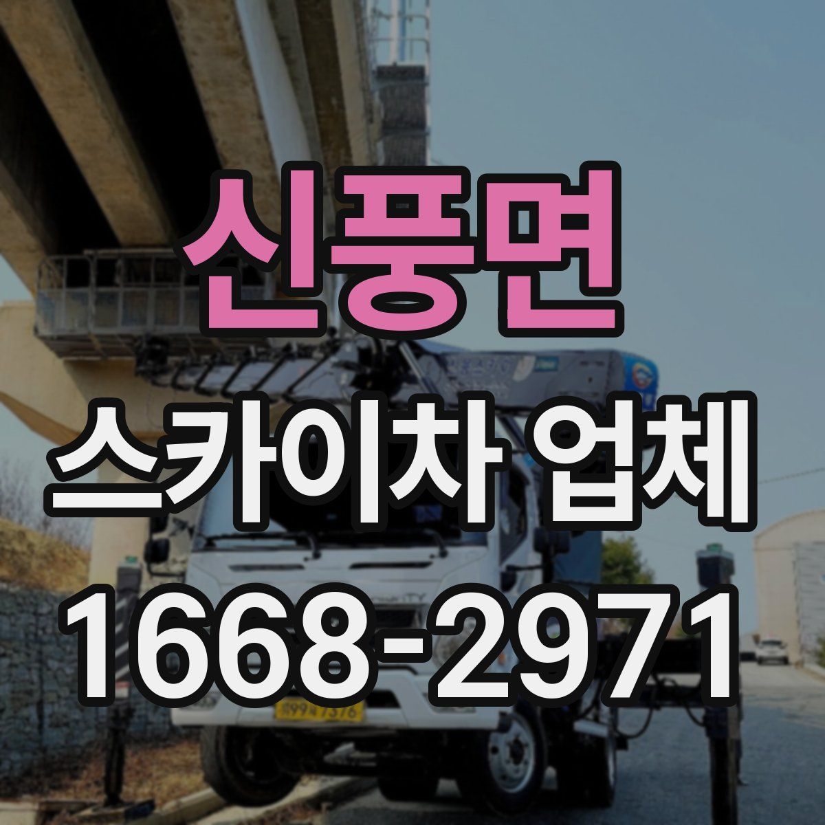 신풍면 스카이차 업체