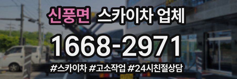 신풍면 스카이차 업체