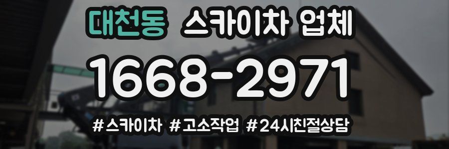 대천동 스카이차 업체