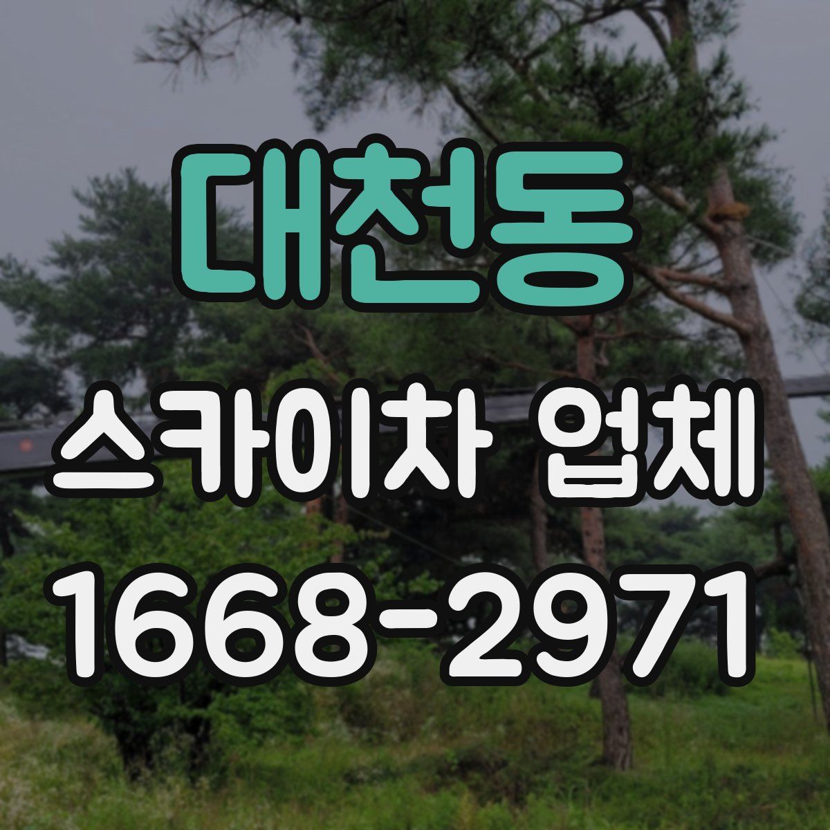 대천동 스카이차 업체