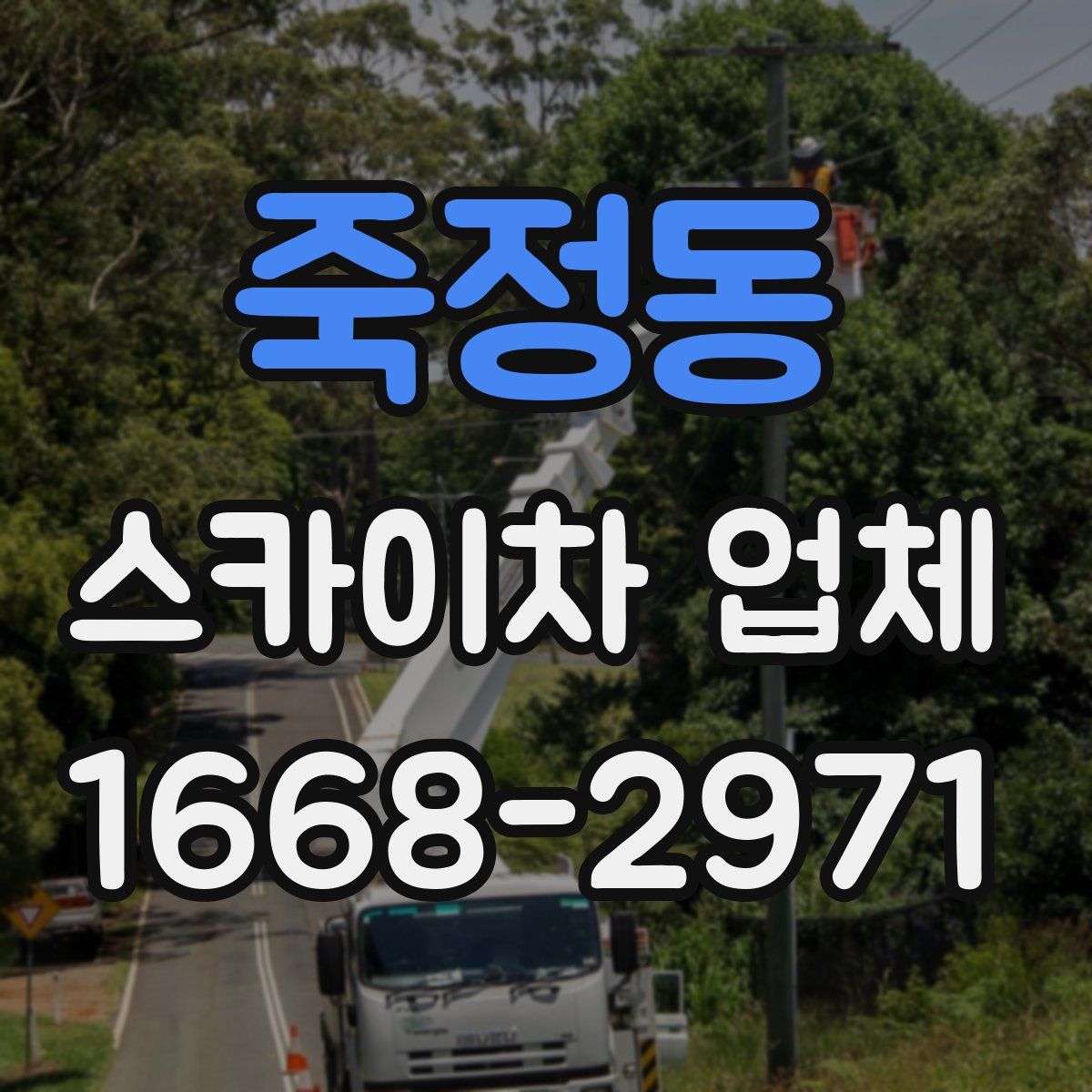 죽정동 스카이차 업체