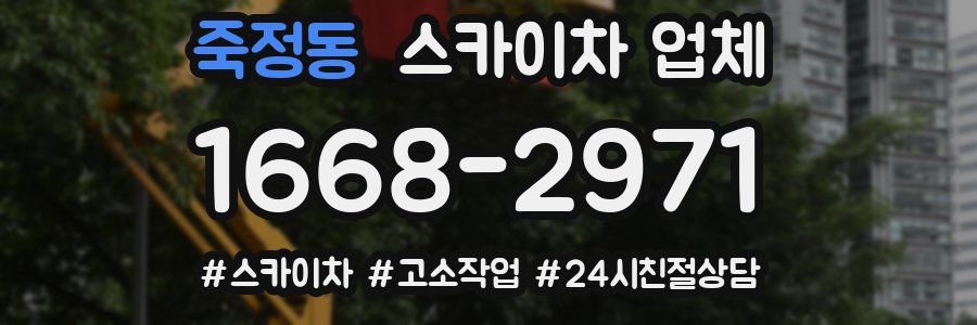 죽정동 스카이차 업체