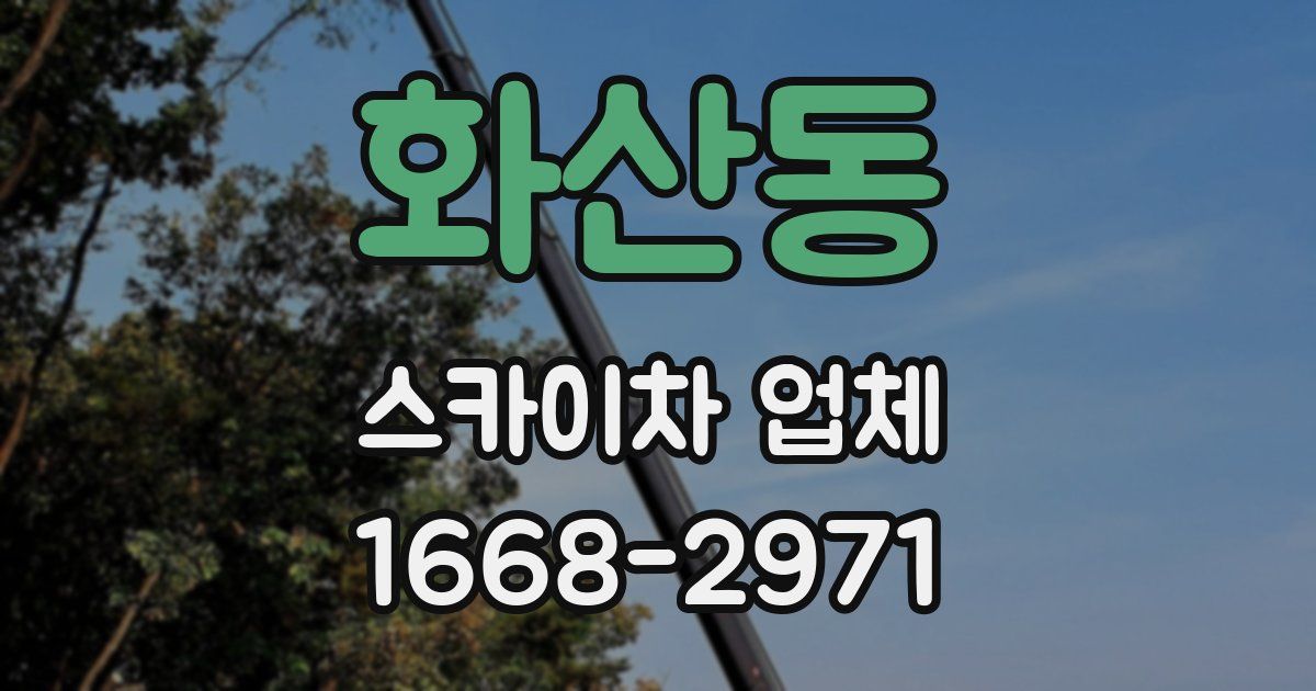 화산동 스카이차 업체
