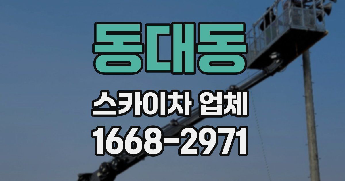 동대동 스카이차 업체